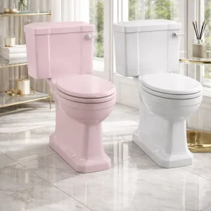 Home ceramic toilet seat